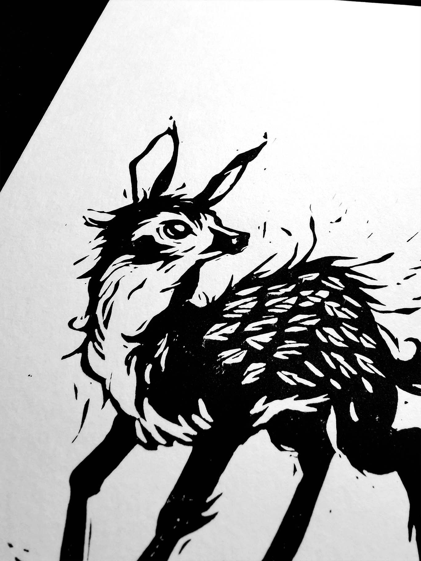 Biche Algarade – Image 2